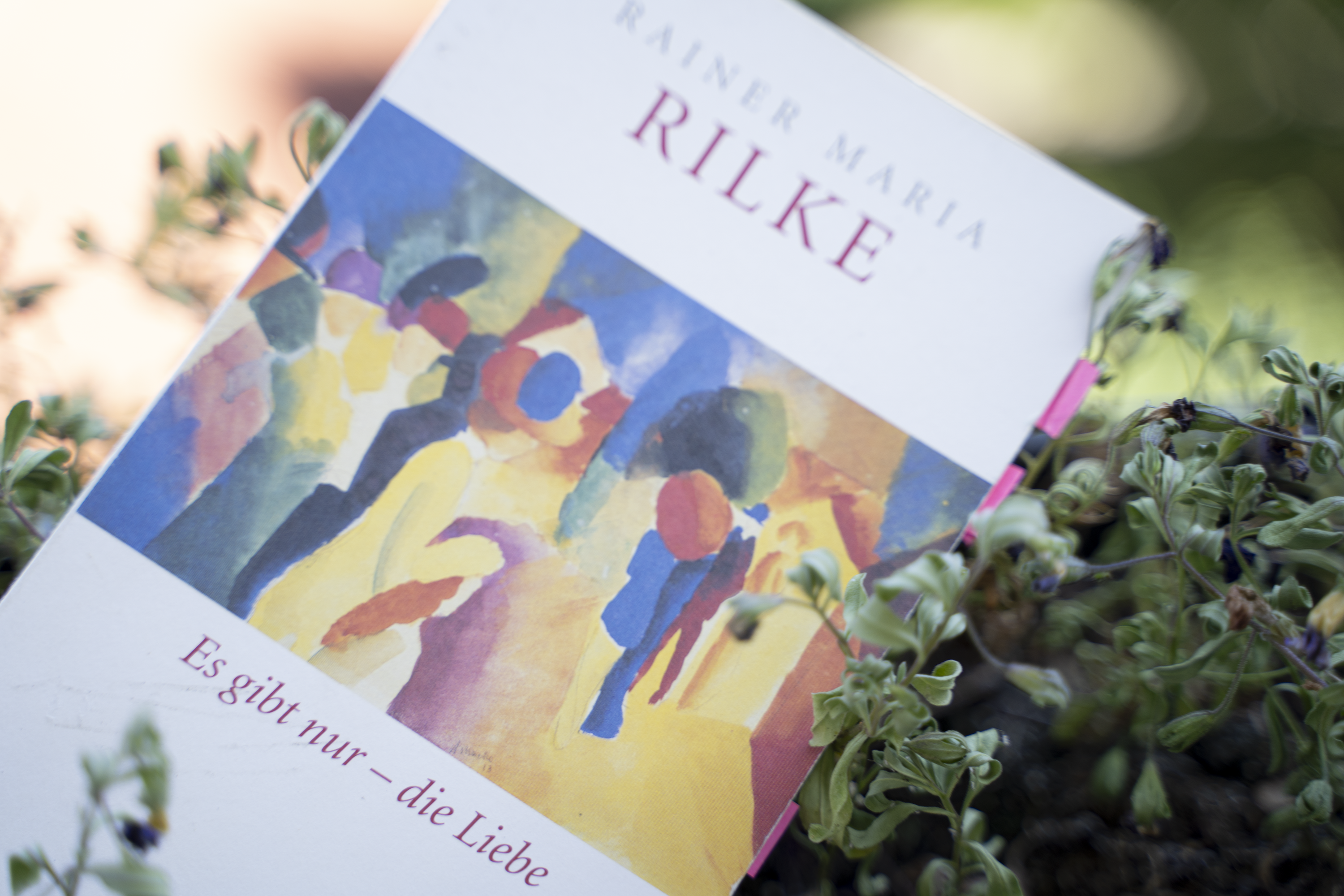Rilke Buchcover Liebe